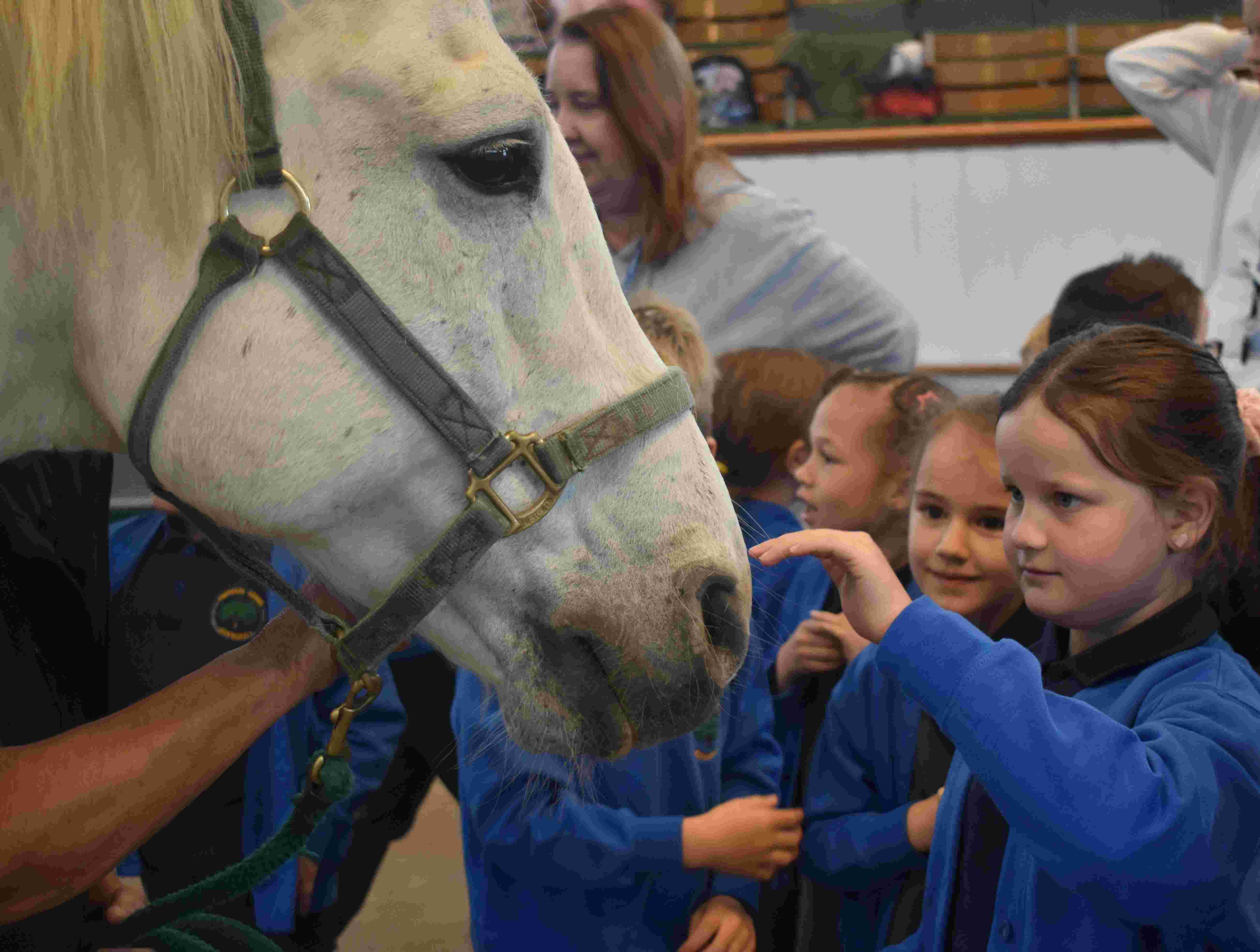 Eastern Education Group Skills Escalator Day for year 2 students in Newmarket 