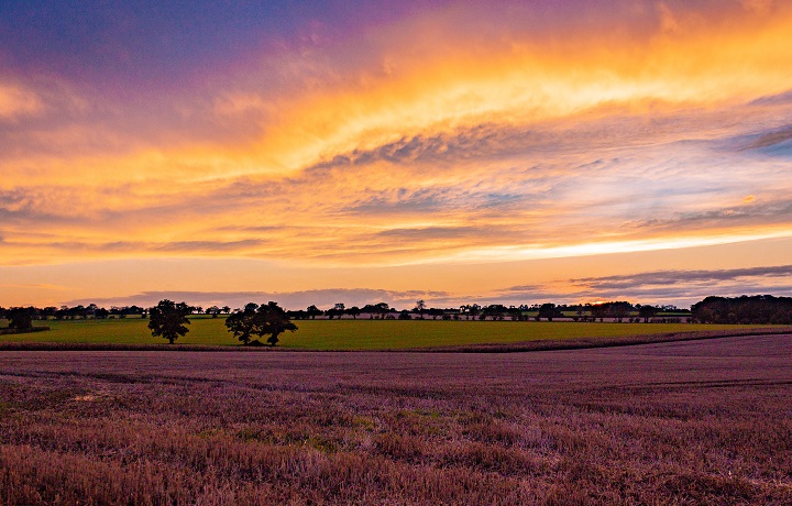 Rural sunset