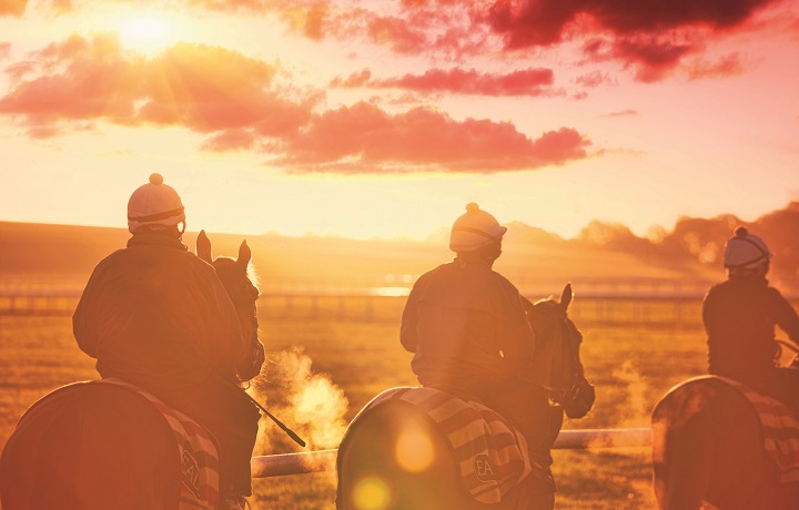 Horses on the heath at sunrise.